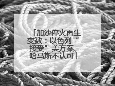加沙停火再生变数：以色列“接受”美方案、哈马斯不认可