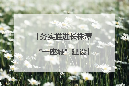 务实推进长株潭“一座城”建设