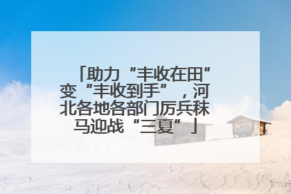 助力“丰收在田”变“丰收到手”，河北各地各部门厉兵秣马迎战“三夏”