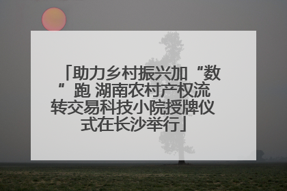 助力乡村振兴加“数”跑 湖南农村产权流转交易科技小院授牌仪式在长沙举行