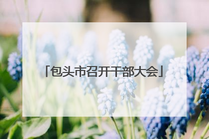 包头市召开干部大会
