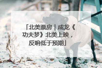 北美票房｜成龙《功夫梦》北美上映，反响低于预期