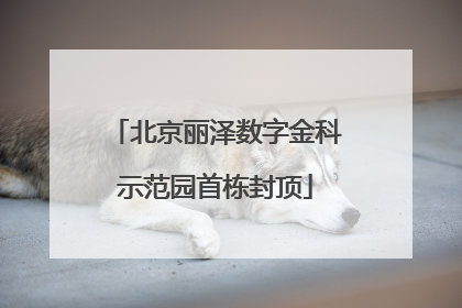 北京丽泽数字金科示范园首栋封顶