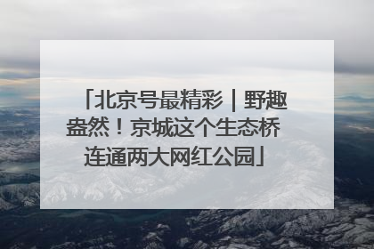 北京号最精彩｜野趣盎然！京城这个生态桥连通两大网红公园