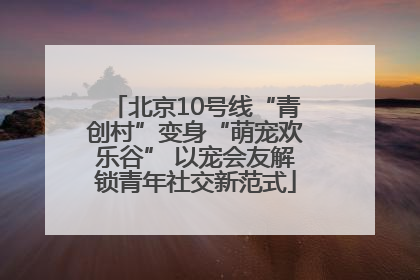 北京10号线“青创村”变身“萌宠欢乐谷” 以宠会友解锁青年社交新范式