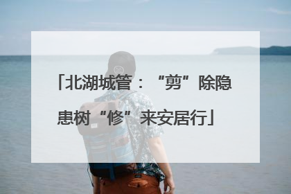 北湖城管：“剪”除隐患树“修”来安居行