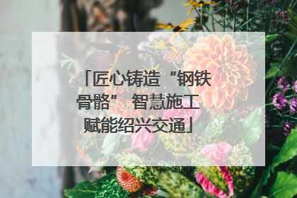 匠心铸造“钢铁骨骼” 智慧施工赋能绍兴交通