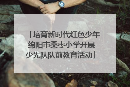 培育新时代红色少年 绵阳市桑枣小学开展少先队队前教育活动
