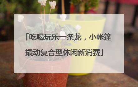 吃喝玩乐一条龙，小帐篷撬动复合型休闲新消费