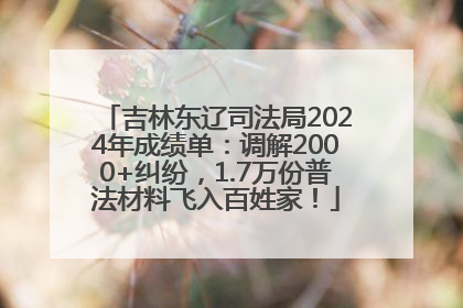 吉林东辽司法局2024年成绩单：调解2000+纠纷，1.7万份普法材料飞入百姓家！