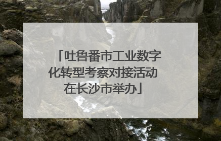 吐鲁番市工业数字化转型考察对接活动在长沙市举办