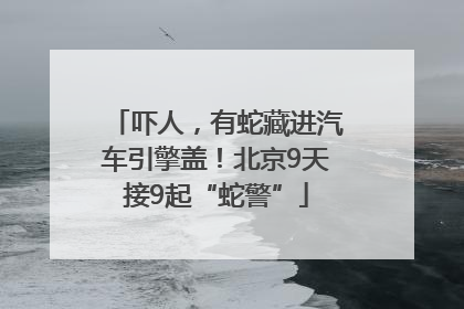 吓人，有蛇藏进汽车引擎盖！北京9天接9起“蛇警”