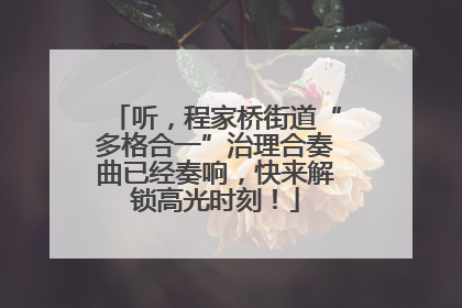 听，程家桥街道“多格合一”治理合奏曲已经奏响，快来解锁高光时刻！