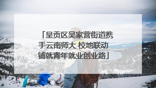 呈贡区吴家营街道携手云南师大 校地联动铺就青年就业创业路