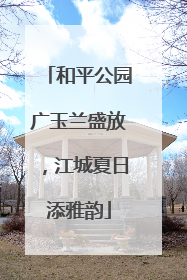 和平公园广玉兰盛放，江城夏日添雅韵