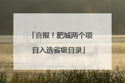 喜报！肥城两个项目入选省级目录