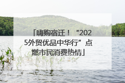 嗨购宿迁！“2025外贸优品中华行”点燃市民消费热情