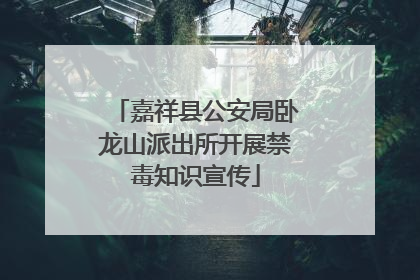 嘉祥县公安局卧龙山派出所开展禁毒知识宣传