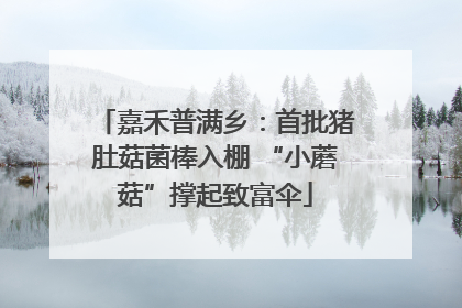 嘉禾普满乡：首批猪肚菇菌棒入棚 “小蘑菇”撑起致富伞