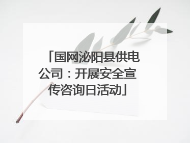 国网泌阳县供电公司：开展安全宣传咨询日活动