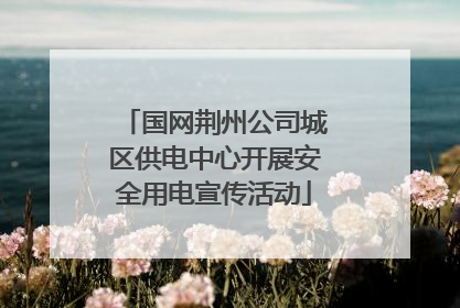 国网荆州公司城区供电中心开展安全用电宣传活动