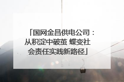 国网金昌供电公司：从积淀中破茧 蝶变社会责任实践新路径