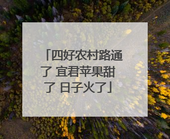 四好农村路通了 宜君苹果甜了 日子火了