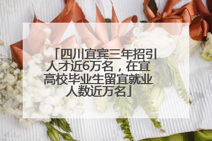 四川宜宾三年招引人才近6万名，在宜高校毕业生留宜就业人数近万名
