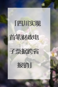 四川实现首笔财政电子票据跨省报销
