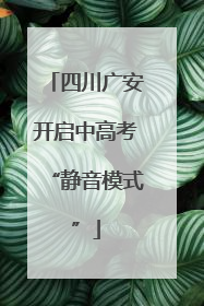 四川广安开启中高考“静音模式”