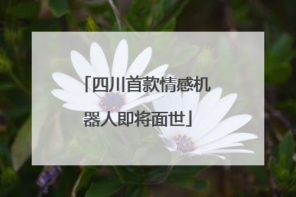 四川首款情感机器人即将面世