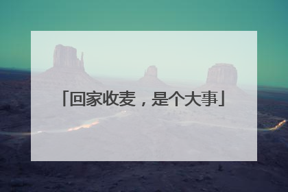 回家收麦，是个大事