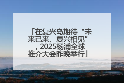 在复兴岛期待“未来已来、复兴相见”，2025杨浦全球推介大会昨晚举行