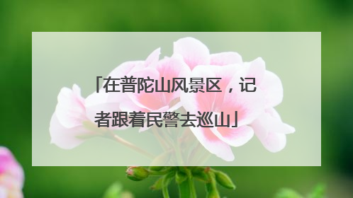 在普陀山风景区，记者跟着民警去巡山