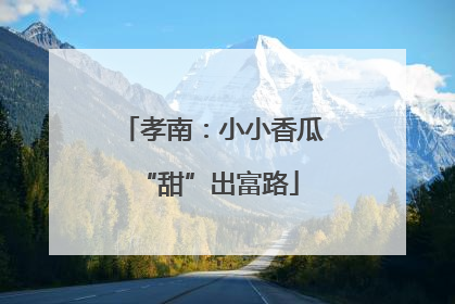 孝南：小小香瓜 “甜”出富路