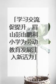 学习交流促提升，眉山彭山鹏利小学为劳动教育发展注入新活力