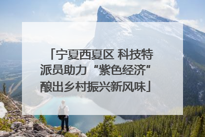 宁夏西夏区 科技特派员助力“紫色经济”酿出乡村振兴新风味