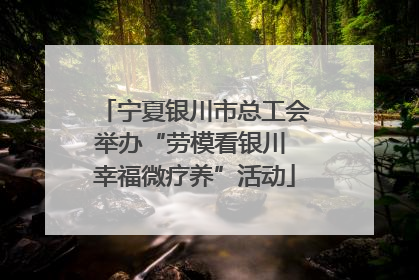 宁夏银川市总工会举办“劳模看银川 幸福微疗养”活动