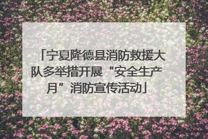 宁夏隆德县消防救援大队多举措开展“安全生产月”消防宣传活动