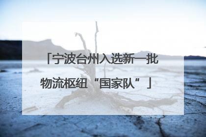 宁波台州入选新一批物流枢纽“国家队”