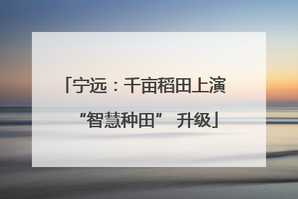宁远：千亩稻田上演 “智慧种田” 升级