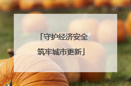 守护经济安全 筑牢城市更新