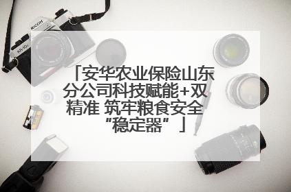 安华农业保险山东分公司科技赋能+双精准 筑牢粮食安全“稳定器”