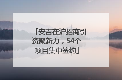 安吉在沪招商引资聚新力，54个项目集中签约