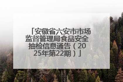 安徽省六安市市场监督管理局食品安全抽检信息通告（2025年第22期）