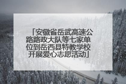 安徽省岳武高速公路路政大队等七家单位到岳西县特教学校开展爱心志愿活动