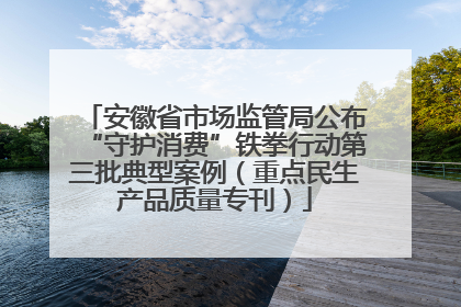 安徽省市场监管局公布“守护消费”铁拳行动第三批典型案例（重点民生产品质量专刊）