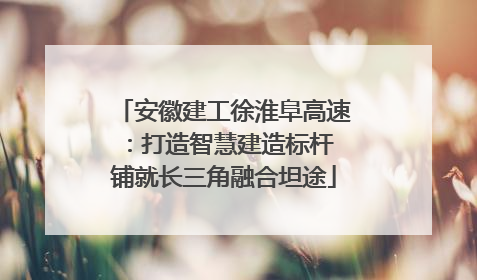 安徽建工徐淮阜高速：打造智慧建造标杆 铺就长三角融合坦途