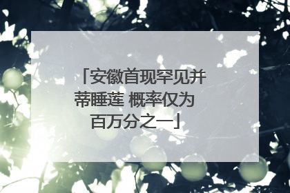 安徽首现罕见并蒂睡莲 概率仅为百万分之一