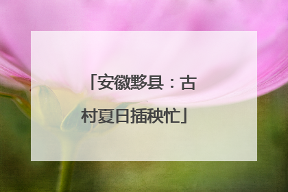 安徽黟县：古村夏日插秧忙